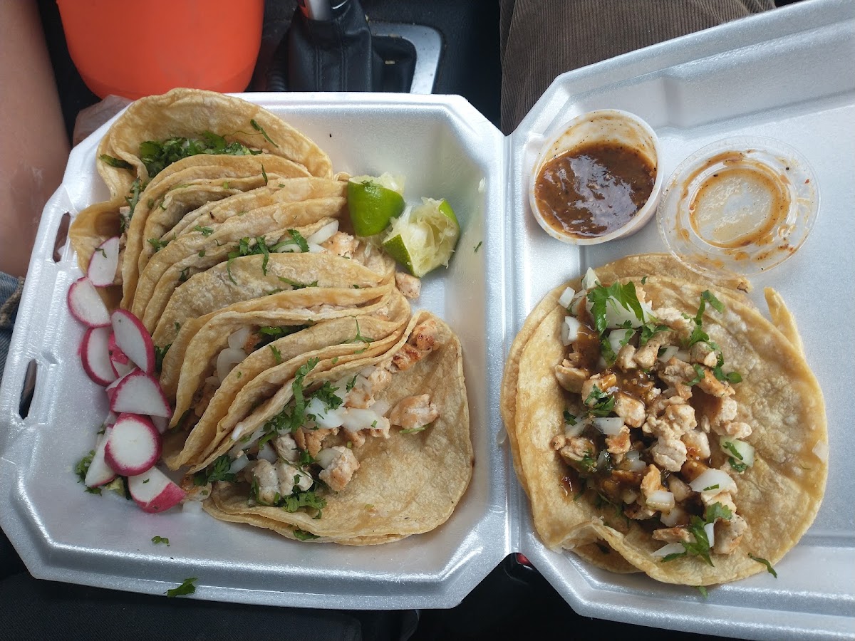 Banner Los Tacotes 01